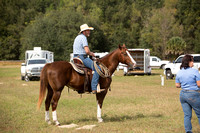 Chestnut with Blaze and Socks