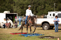 Grey/Red Grullo with Blaze