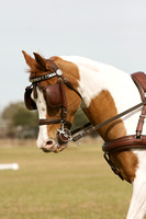 Competitor 11
