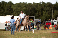 Red Roan