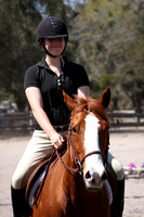 March 7th Solid Horses (bays, chestnuts,...)