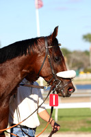 Race 9